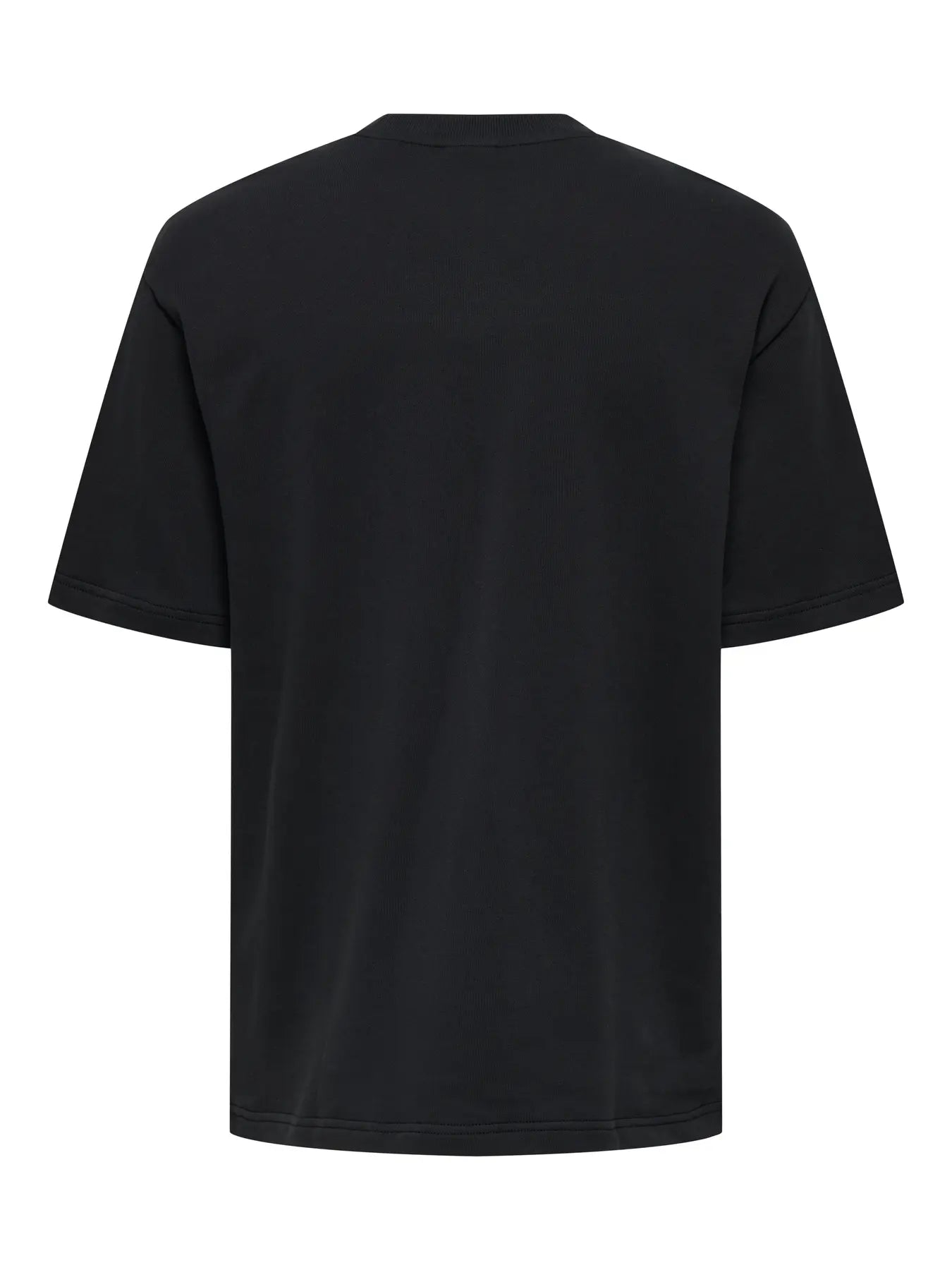 ONLY & SONS MOAB LIFE T-Shirt Jet Black