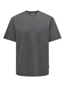 ONLY & SONS FRED T-shirt Grey / Pinstripe